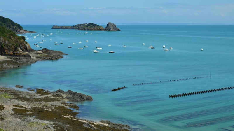 Boats at anchor in a bay with oyster farms in the shallows